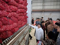 Brebes Sumbang 20% Produksi Bawang Merah Nasional, Kini Ekspor ke Thailand