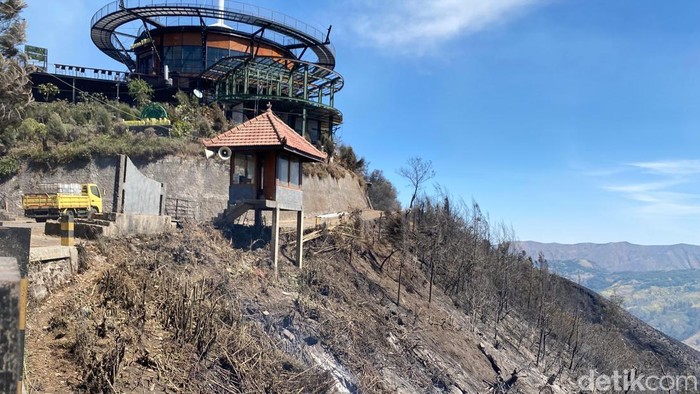 Kondisi terkini Kafe Bromo Hillside usai dikepung karhutla.