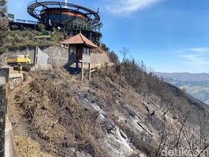 Video: Kepanikan Pengunjung Saat Asap Karhutla Masuk Bromo Hillside