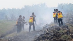 Lahan di Sungai Aur Muaro Jambi Terbakar, Luasan Capai 20 Hektare