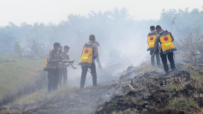Penanganan pemadaman lahan di Sungai Aur, Muaro Jambi, lahan gambut oleh Satgas Karhutla