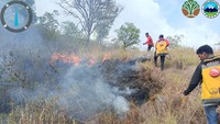 Karhutla di Taman Nasional Tambora Makin Meluas