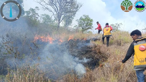 Petugas memadamkan api di TN Tambora, Dompu, NTB, Jumat (11/9/2029). (Dok. Balai TN Tambora)
