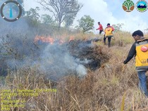 Kebakaran Hutan di TN Tambora Terus Meluas