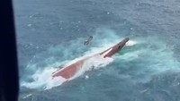 Potret dari Udara Kapal Virgo Transport Terbalik di Laut Jawa