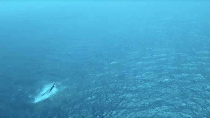 Potret udara Kapal Virgo Transport 8 yang terbalik usai hilang kontak di Laut Jawa. (dok.Humas Polri)