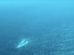 Video: Basarnas Sebut Posisi Kapal Virgo Bergeser dan Semakin Tenggelam