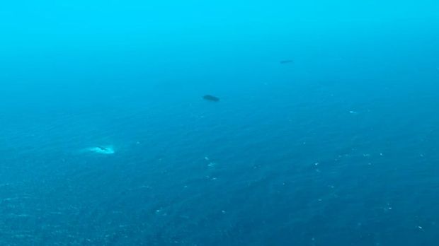 Potret udara Kapal Virgo Transport 8 yang terbalik usai hilang kontak di Laut Jawa. (dok.Humas Polri)