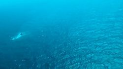 Video: Kapal Virgo Transport Hilang Kontak di Laut Jawa Berangkat dari Surabaya