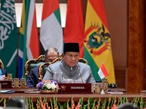 Video Prabowo di KTT BRICS: Bertahun-tahun Impor, Kini RI Ekspor Beras-Jagung