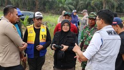 Cek Lokasi Karhutla, Bupati Afni: Jaga Siak Zero Firespot!