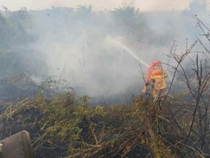 Menhut Tekankan Penguatan Kolaborasi Multipihak Padamkan Karhutla