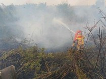 Menhut Tekankan Penguatan Kolaborasi Multipihak Padamkan Karhutla