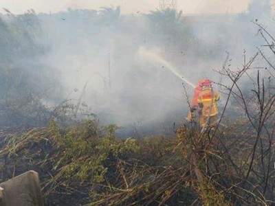 Video: Jumlah Hotspot Nasional Turun Jadi 567 Titik, Kalteng Tertinggi