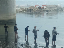 Warga Palu Nekat Turun Sungai-Mancing Meski Banyak Buaya di Dekatnya