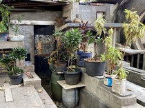 Bukan Rumah! Ternyata Ini Fakta Bangunan Viral di Makam Pandu