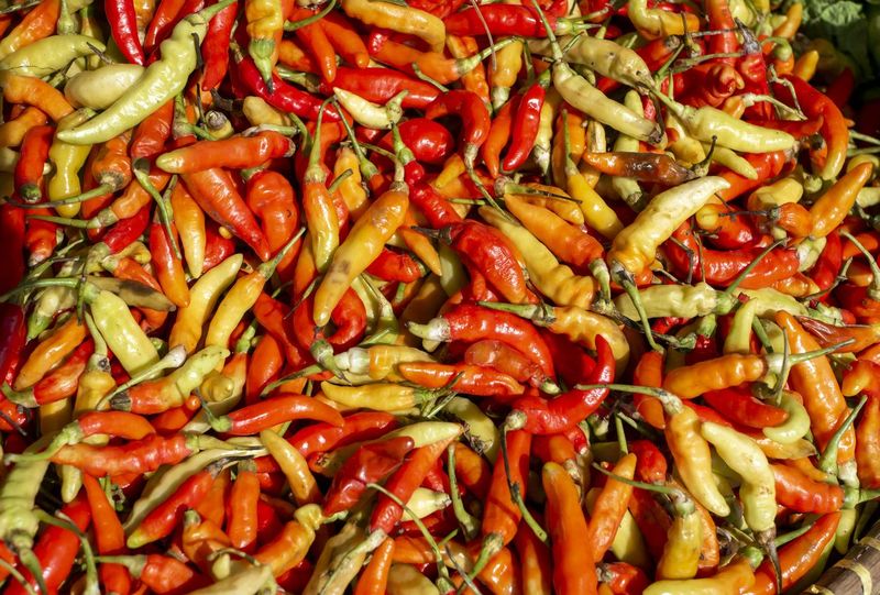 Harga cabai rawit merah melonjak, ini tips menyimpannnya