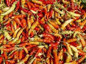 Studi Ungkap Makanan Pedas Bisa Bantu Perbaiki Mood, Pernah Merasakannya?