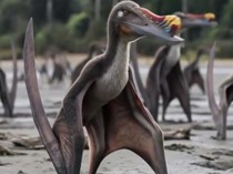 Video: Pertama di Dunia! China Resmi Buka Museum Pterosaurus di Xinjiang
