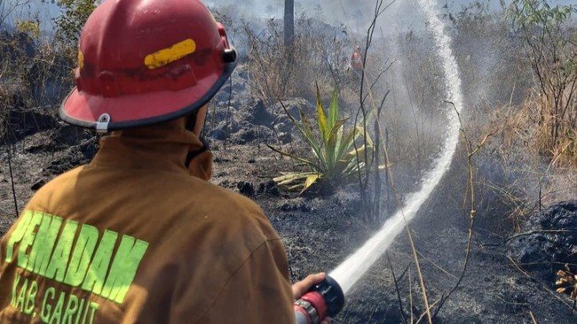 Karhutla Menghanguskan Kaki Gunung Guntur di Garut