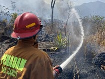 Karhutla Menghanguskan Kaki Gunung Guntur di Garut