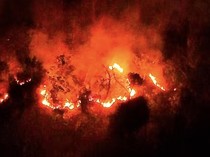 Viral! Api Karhutla di Kubu Raya Sekilas Berbentuk Lafaz Allah Terekam Drone