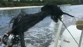 Sekilas seperti makhluk dari film horor. Benda hitam kusut yang terangkat dari air ini punya bentuk yang cukup menyeramkan untuk membuat orang berpikir dua kali sebelum menyentuhnya. Ini adalah joran yang terkena sambaran petir. Foto: Boredpanda