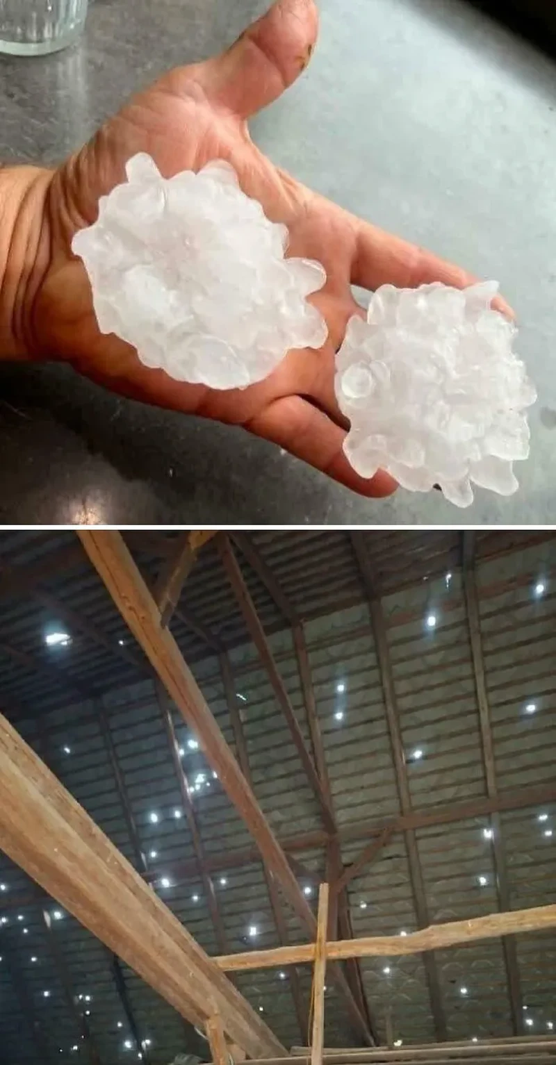 Kumpulan foto aneh yang bikin mata sulit percay