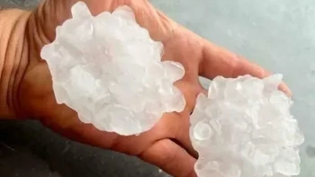 Hujan esnya bukan kaleng-kaleng. Bongkahan es yang jatuh berukuran cukup besar, sementara atap bangunan sampai dipenuhi lubang setelah dihantam dari atas. Foto: Boredpanda