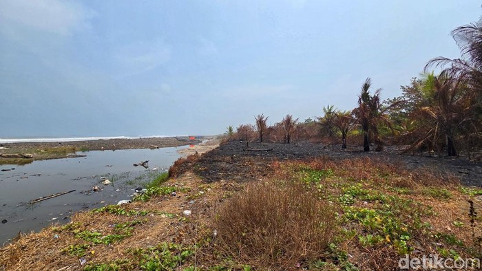 Lahan pesisir yang diduga diperjualbelikan di pesisir Loji