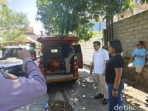 Pria Australia Bunuh 2 Anak lalu Gantung Diri Tak Punya Masalah Finansial