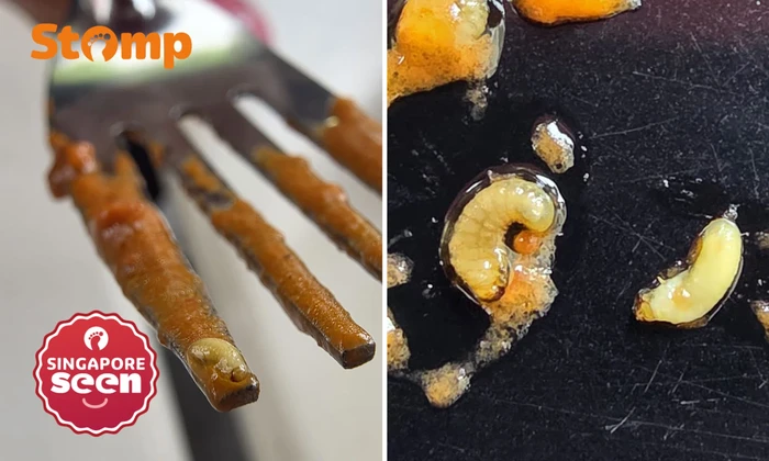 Pengunjung Temukan Banyak Larva di Butter Chicken