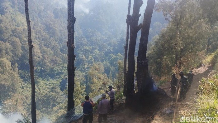 petugas gabungan berjibaku padamkan api di TNBTS