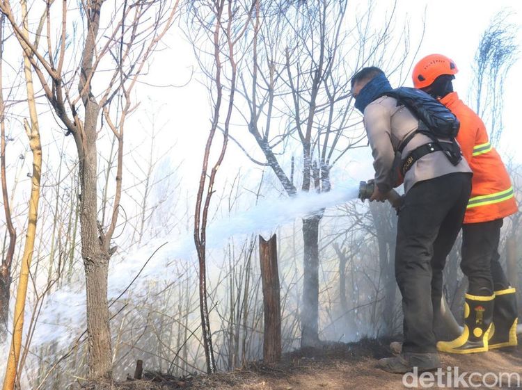 Penanganan Karhutla di TNBTS