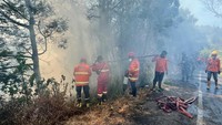 3 Titik Karhutla yang Masih Membara di Jawa Timur, Salah Satunya Bromo