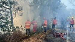 Bromo Padam, Karhutla di Jatim Tersisa 2 Titik