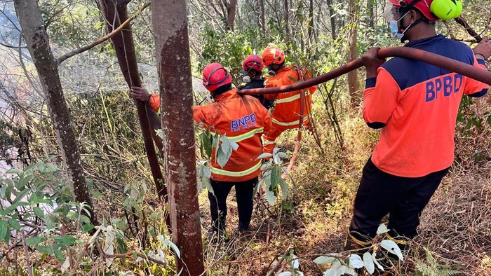 Sejumlah petugas tampak berjibaku untuk memadamkan karhutla di Bromo.