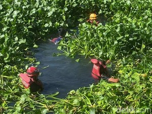 Lansia Tewas Tenggelam di Kanal Makassar Dipenuhi Eceng Gondok