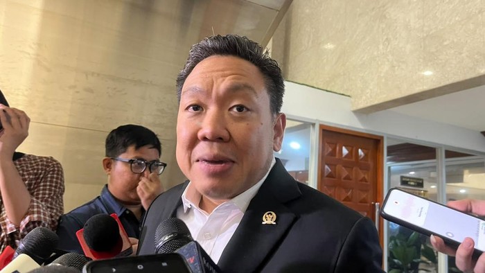 Wakil Ketua Komisi IX DPR Charles Honoris  (Anggi/detikcom)