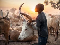 Foto Jawara European Photography Awards 2026 Bikin Susah Berkedip