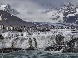 Foto Jawara European Photography Awards 2026 Bikin Susah Berkedip