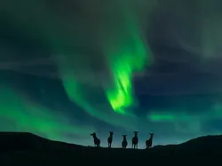 Foto Jawara European Photography Awards 2026 Bikin Susah Berkedip