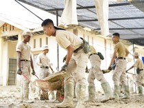 Gotong Royong Praja IPDN Pulihkan Aceh Tamiang Pascabencana