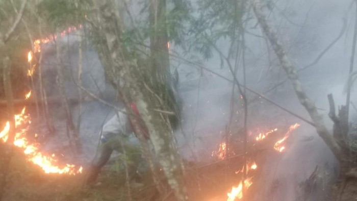 Hutan di kawasan Gunung Andong Kabupaten Magelang dilaporkan terbakar, Selasa (15/9/2026).