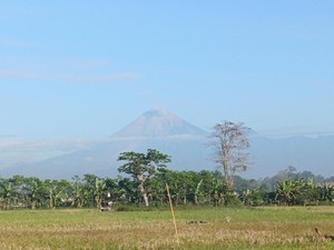 Gunung Semeru Erupsi 30 Kali dalam 6 Jam, Ada Dentuman
