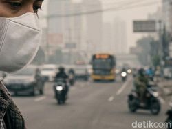 Kabut Asap Selimuti Sumut, Jarak Pandang Cuma 2 Km