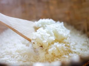Sudah Stop Makan Nasi Tapi Kok Perut Tetap Buncit? Bisa Jadi gegara Ini