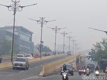 Kasus ISPA Tembus 11 Ribu Lebih Imbas Karhutla di Riau