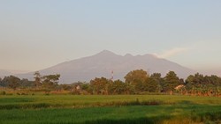 Update Karhutla Arjuno: Alas Lali Jiwo Terkendali, Masih Ada Titik Api