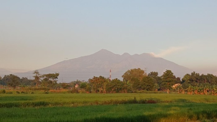 Kahutla Gunung Arjuno